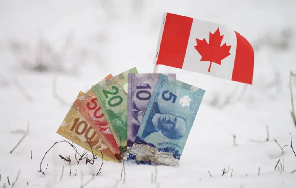 Ile zarabia dekarz w Kanadzie? Zaskakujące fakty o wynagrodzeniach