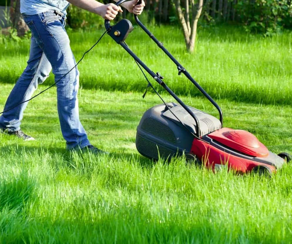 Zadbany trawnik z elektryczną kosiarką: Jak wybrać najlepszą?
