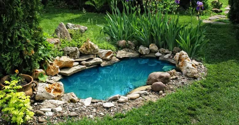 Ile naprawdę kosztuje budowa oczka wodnego? Sprawdź, jak uniknąć wysokich kosztów