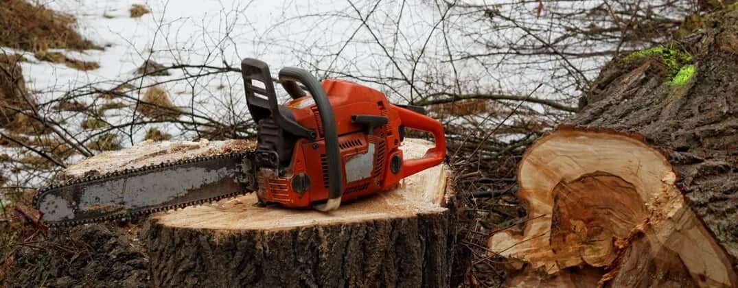 Jaką wybrać piłę spalinową, aby uniknąć kosztownych błędów?